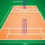 How Many Creases Are There in Cricket?